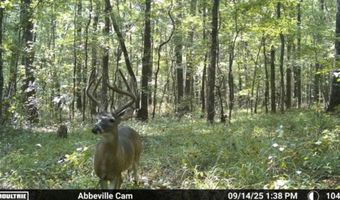 Cr 127, Abbeville, MS 38601