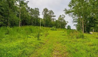 3646 Prospect Church Rd, Apison, TN 37302