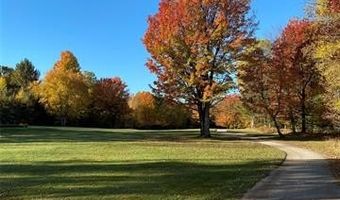 2596 E Fox Rd, Alcona, MI 48742
