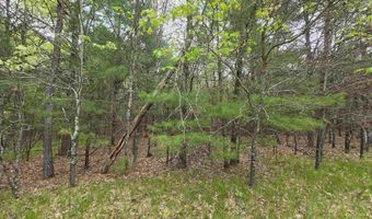 S Badger Lane lot 39, Arkdale, WI 54613