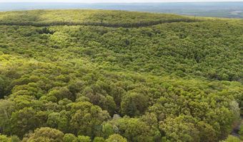 Arciel Drive, Albrightsville, PA 18210