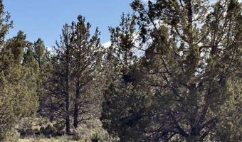 TL 300 HWY 140, Beatty, OR 97621