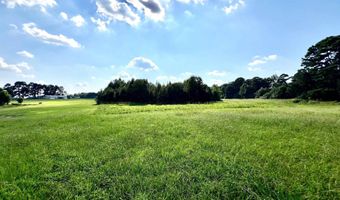 0 BAILEY Rd, Baileyton, AL 35019