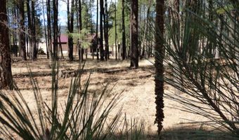 8 B County Road 2267 Escudilla Rd, Alpine, AZ 85920
