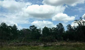 0 80 FOOT Rd, Bartow, FL 33830