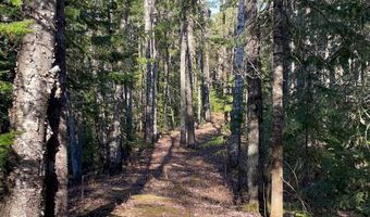6856 Five Mile Pt, Allouez, MI 49805