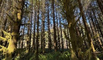 Logsden Rd, Blodgett, OR 97326