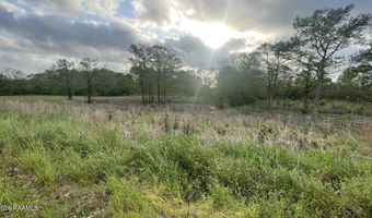 Oscar Rivette Road lot Multiple, Arnaudville, LA 70512