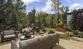 219 N Monarch St, Aspen, CO 81611