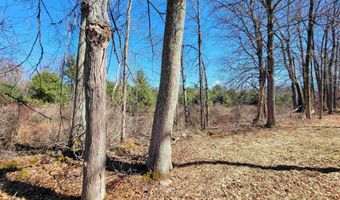 399 Bard Rd, Bennington, VT 05201