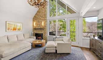 800 S Mill St 6A, Aspen, CO 81611