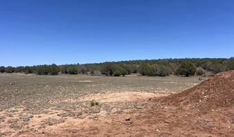 39303 N Bullock Rd, Ash Fork, AZ 86320