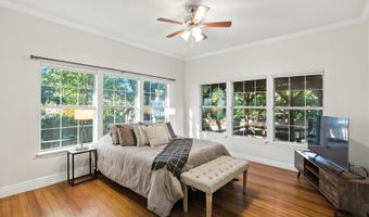 161 Barilla, Alamo Heights, TX 78209