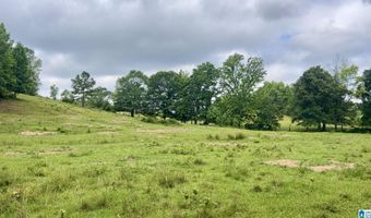 988 MINES Rd 100, Ashland, AL 36251