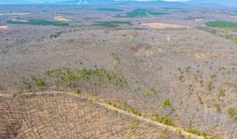 Larkin Mountain, Amherst, VA 24521