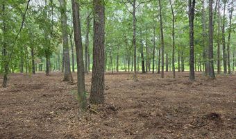 Blume Road lot 9, Alto, TX 75925