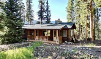 110 Pine Tree Ln, Almont, CO 81210