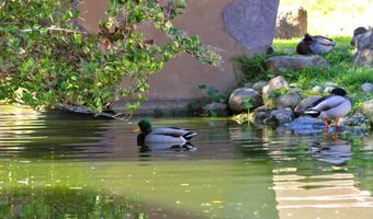 1311 Webster St E316, Alameda, CA 94501