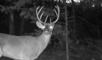 3968 Highway 167, Ash Flat, AR 72513