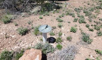 Lot 13 Ranch And Cattle, Ash Fork, AZ 86320