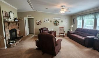 786 Blackberry Rd, Baconton, GA 31716