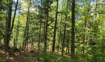 W Appleton Road, Appleton, ME 04862