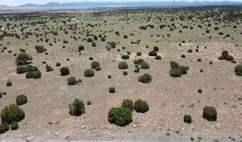 Tbd Windsor Valley Ranch Lot 87, Concho, AZ 85924
