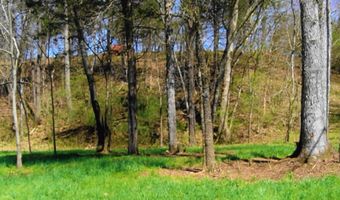 Lot 35 Watauga Lane, Birchwood, TN 37308