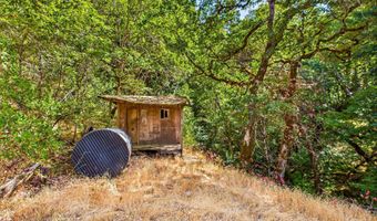 1991 Steelhead Rd, Alderpoint, CA 95511