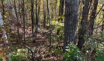County Road 12, Akeley, MN 56433