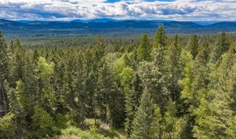 Nhn Red Hawk Drive, Bigfork, MT 59911