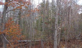 Mittenwald Strasse Road lot 49, Bartlett, NH 03812