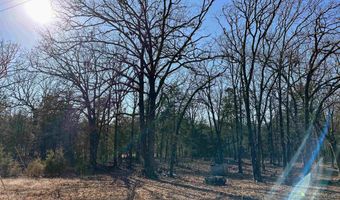 210 PR 3013, Altus, AR 72821