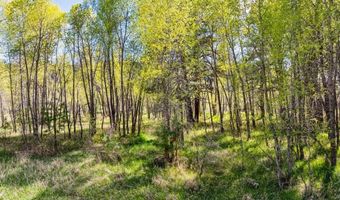 65 Pinestone Dr, Bayfield, CO 81122