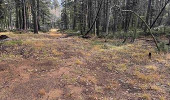 Vermejo Cir lot 15, Angel Fire, NM 87710