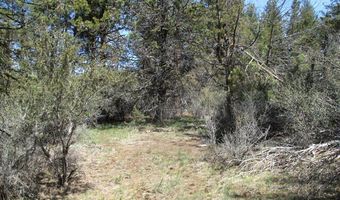 Jaguar Lane 29, Bonanza, OR 97623