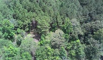 50417 TINY PINES Rd, Angie, LA 70426