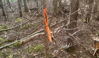 Thorn Hill Road lot 406/22, Bethlehem, NH 03574