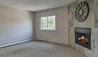 412 S MAIN St 321, Breckenridge, CO 80424