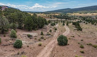 142 French Mesa Rd, Gallina, NM 87017