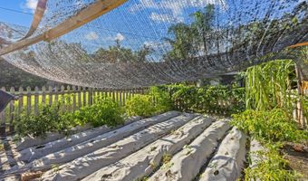 1131 CARLSON Dr, Orlando, FL 32804