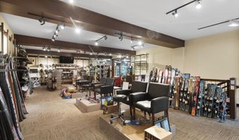 408 E Cooper Ave, Aspen, CO 81611