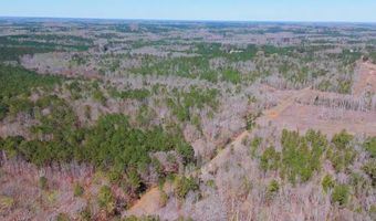 A 10.5 Acres 83 Three B Dr, Abbeville, SC 29260