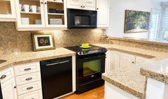 800 E Hopkins Ave A-1, Aspen, CO 81611