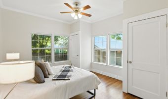 161 Barilla, Alamo Heights, TX 78209