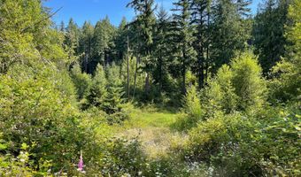 Bogynski RD, Oregon City, OR 97045
