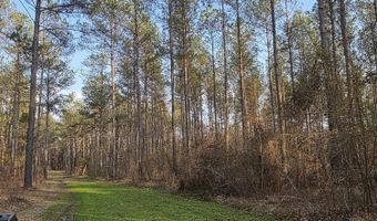U.S. Highway 51, Bogue Chitto, MS 39629