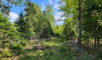 W Appleton Road, Appleton, ME 04862