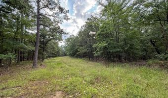 Old Moyers Road, Antlers, OK 74523