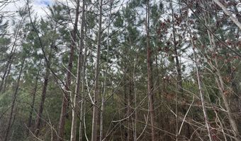 HARDWARE RD lot C1, Arvonia, VA 23004